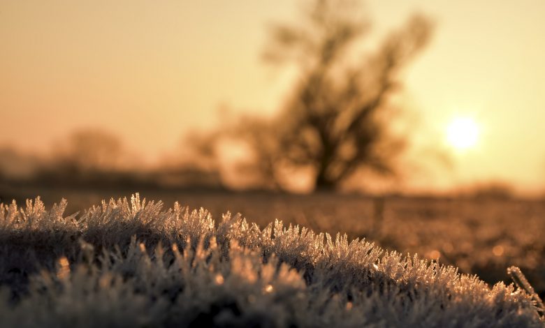 FREDDO risveglio SOTTO ZERO in molte citt 6 5 GRADI vicino a