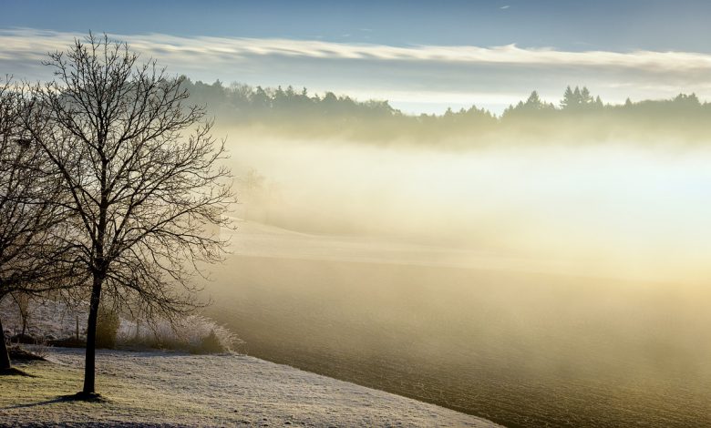 Giorni Della Merla Con Temperature Quasi Primaverili Al Nord La Tendenza Icona Meteo