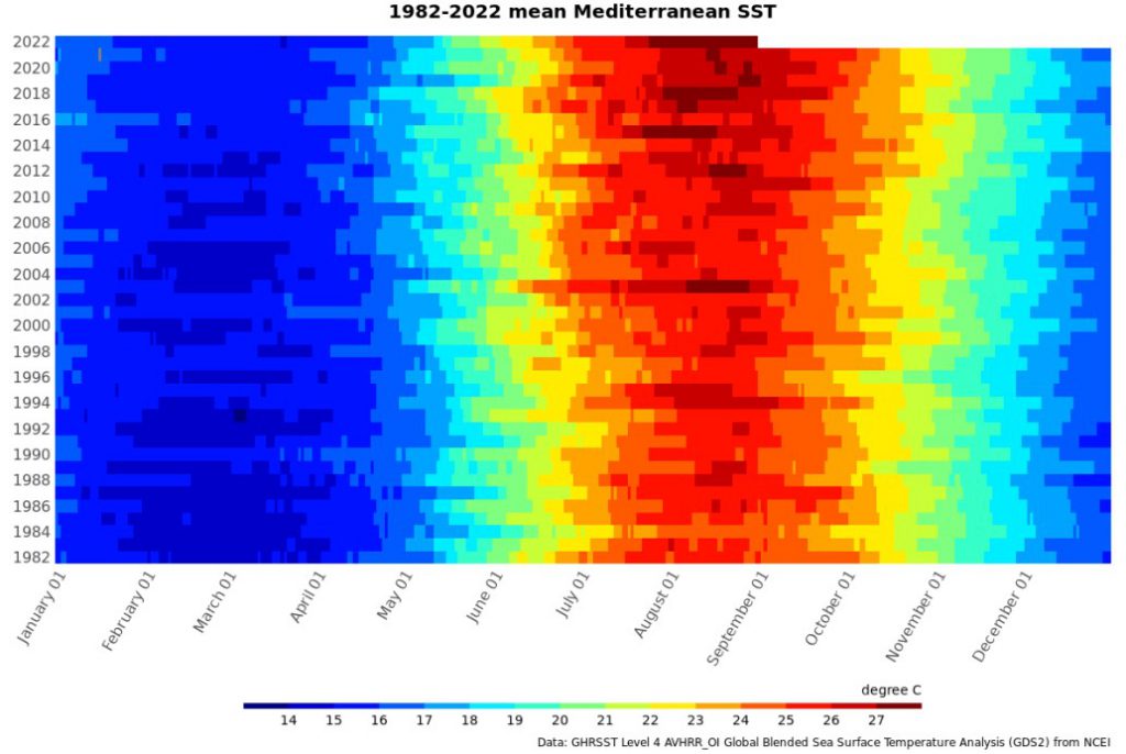 Il mare è troppo caldo: a rischio i coralli della Florida - METEO GIORNALE