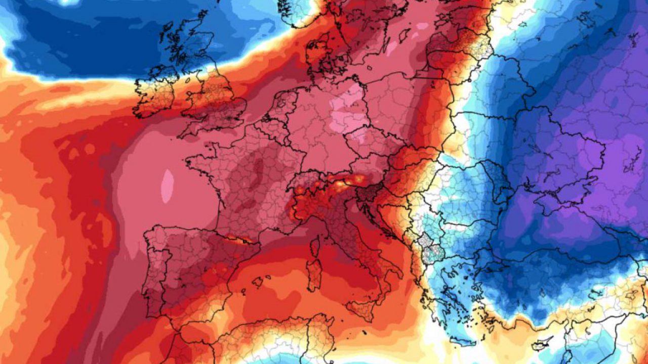 Calamite e cellulosa (2) - Arezzo Meteo