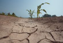 Photo of El Niño si ingigantisce: il mondo entra nella fase decisiva ma non interessa a nessuno